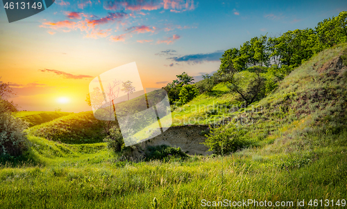 Image of Green fields of grass