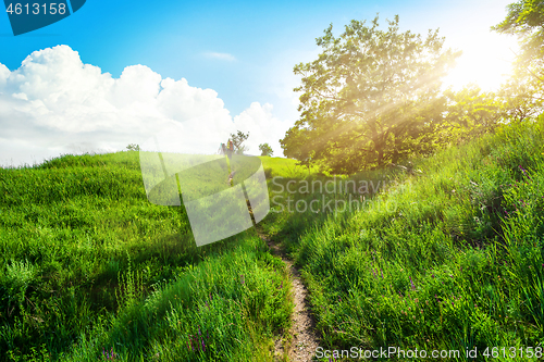 Image of Footpath in the field