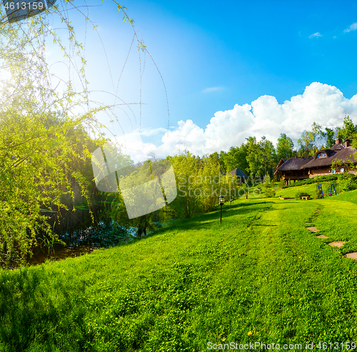 Image of Beautiful green field