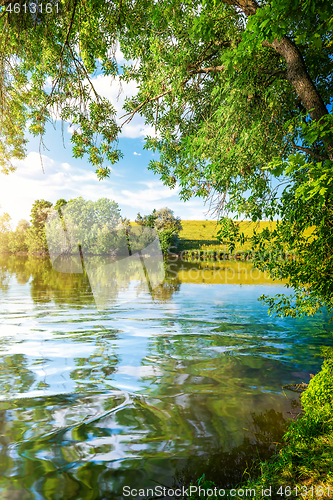 Image of Landscape pond and forest