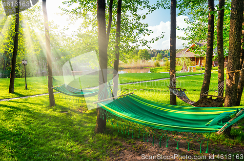 Image of Garden and hammock