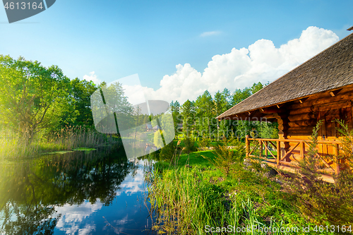 Image of Pond and forest