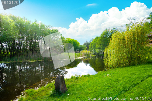 Image of Landscape pond and field