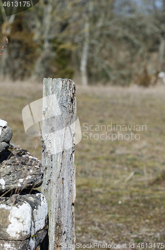 Image of Old weathered wooden pole