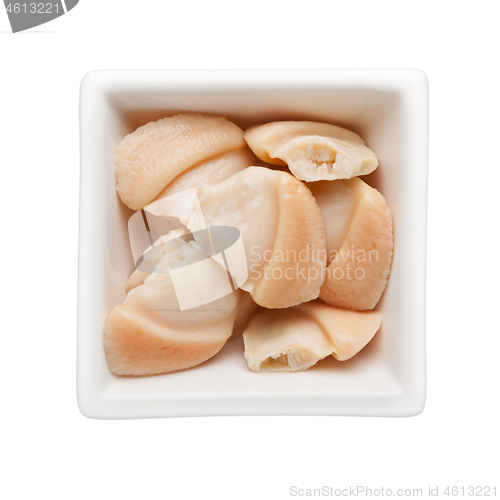 Image of Canned clam