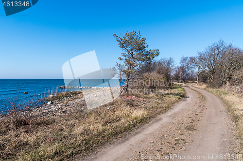 Image of Coastal gravel road