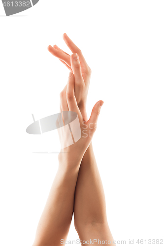 Image of Beautiful female hands isolated on white background. Beauty, cosmetics, spa, moisturizing, treatment concept, tender, sensual posing