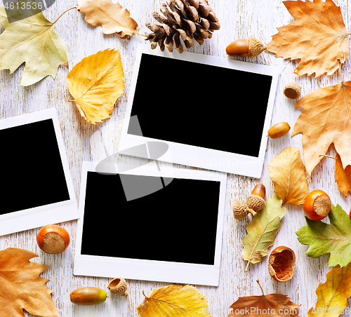 Image of autumn background