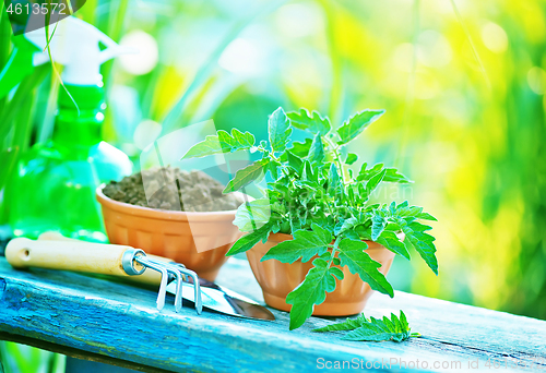 Image of gardening utensil