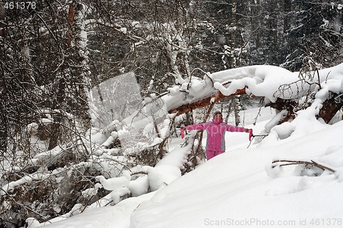 Image of Winter landscape