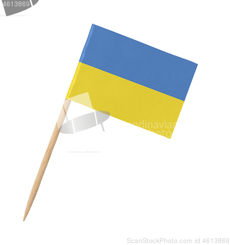 Image of Small paper Ukrainian flag on wooden stick