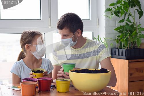 Image of Happy dad and daughter in quarantine are engaged in crop production