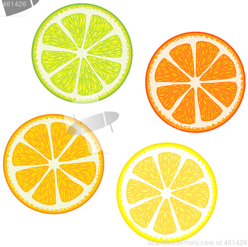 Image of  Slices of citrus fruits