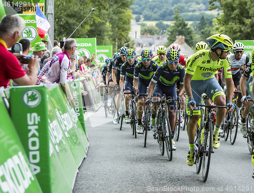 Image of The Peloton - Tour de France 2017