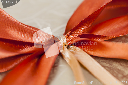 Image of Festive Bow Background