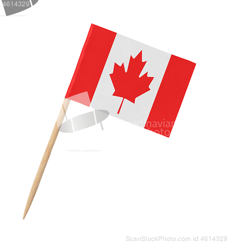 Image of Small paper Canadian flag on wooden stick