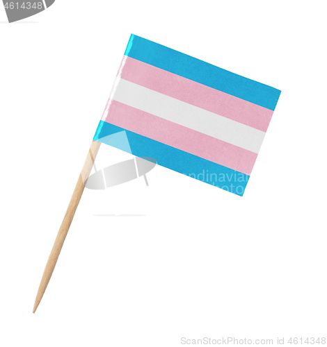 Image of Small paper Transgender flag on wooden stick