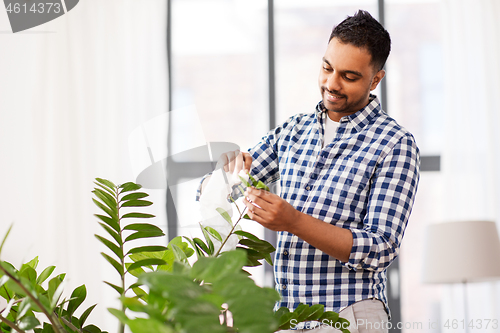 Image of indian man cleaning houseplant\'s leaves at home