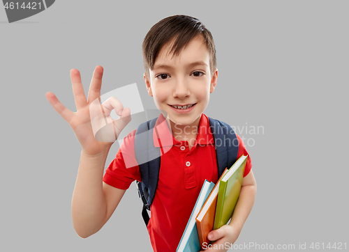 Image of student boy with books and school bag showing ok