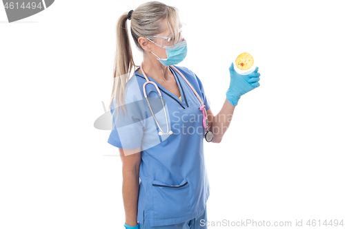 Image of Laboratory pathologist holding a petri dish with growth cultures