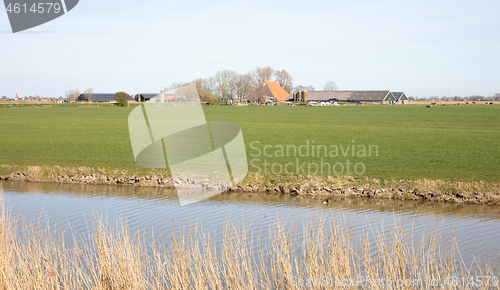 Image of Farm in the north of the Netherlands