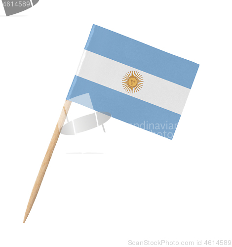 Image of Small paper Argentinian flag on wooden stick