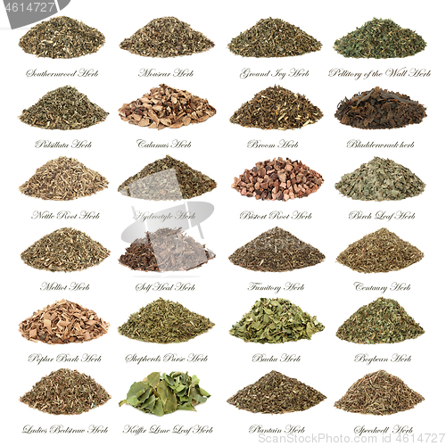 Image of Large Herbal Medicine Selection