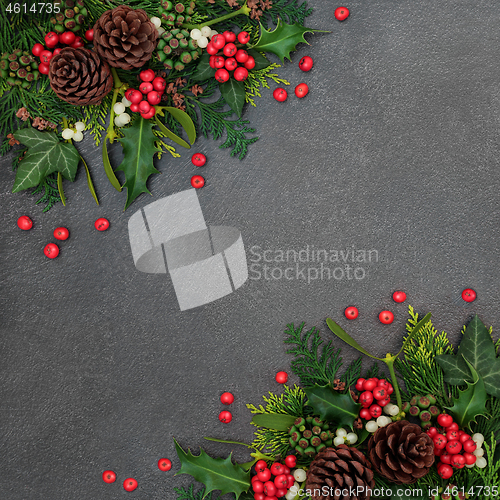 Image of Natural Winter and Christmas Background Border