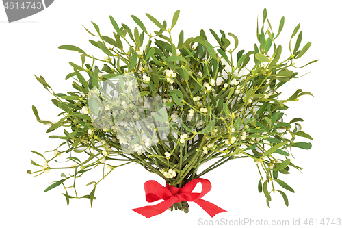 Image of Mistletoe for the Festive Season