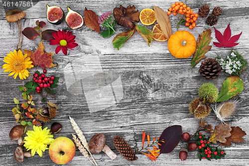 Image of Autumn Harvest Festival Background Border