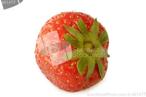 Image of Fresh Strawberry