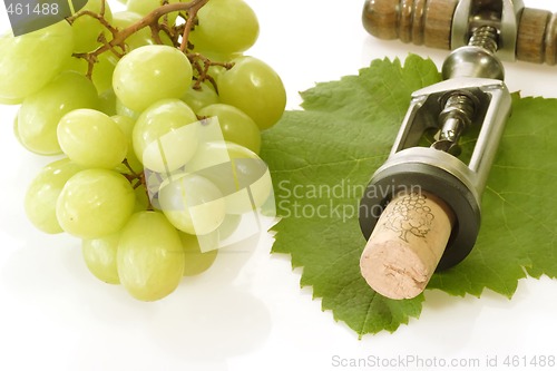Image of Corkscrew with wine