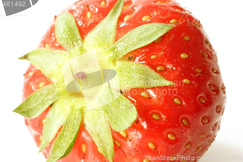 Image of Strawberry