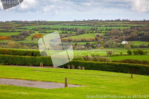 Image of Ireland green meadow scenery