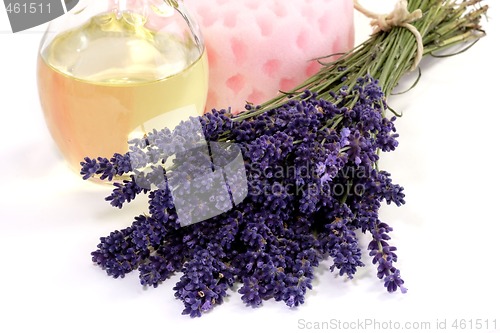 Image of Lavender Oil