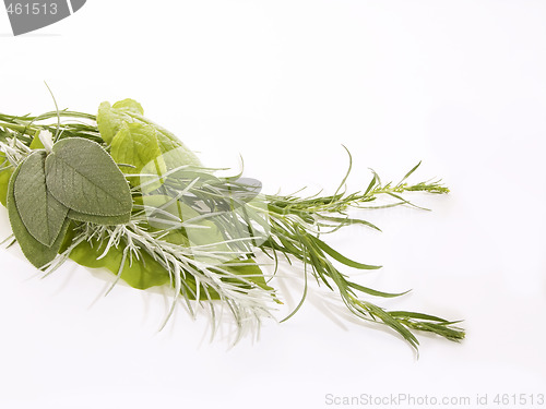 Image of Herbs