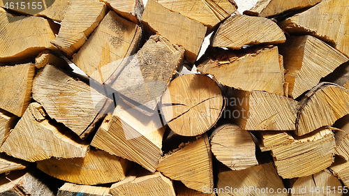 Image of Firewood pile stacked chopped wood trunks