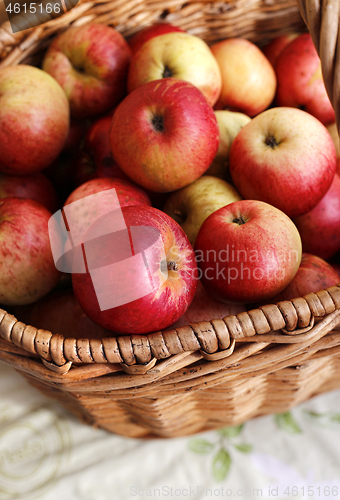 Image of Ripe red and yellow apples close-up in a basket