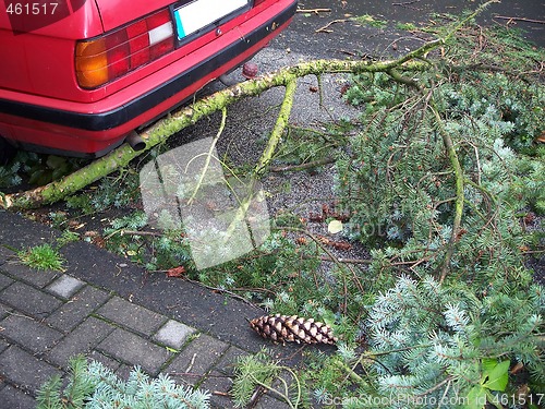 Image of Storm Damage