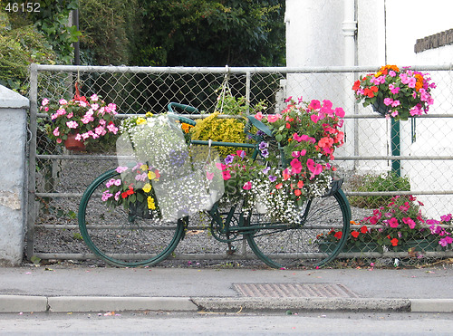 Image of Flowered bicycle