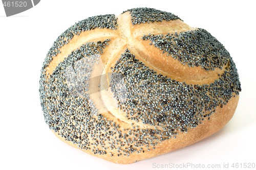 Image of Poppy Seed Bun