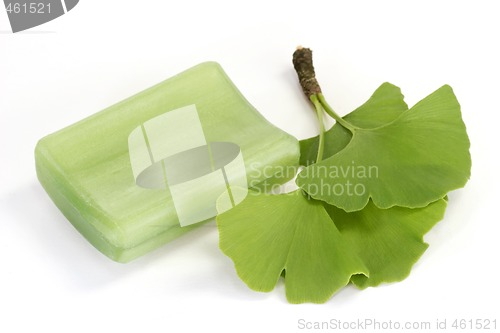 Image of Ginkgo Soap