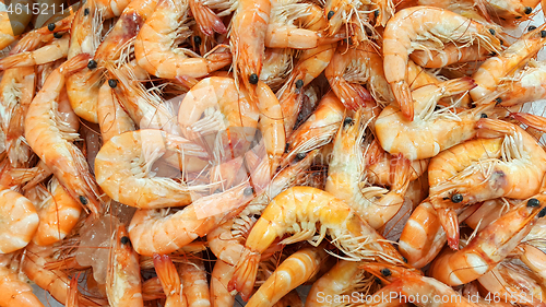 Image of Fresh shrimp on the market