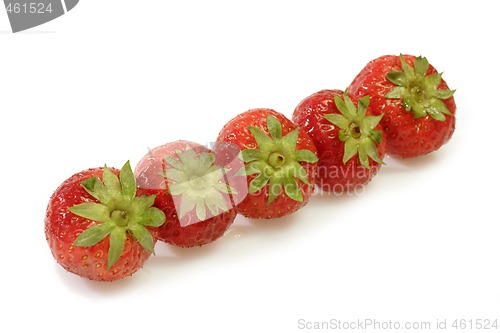 Image of Strawberries in a Row