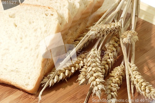 Image of Toast Slices