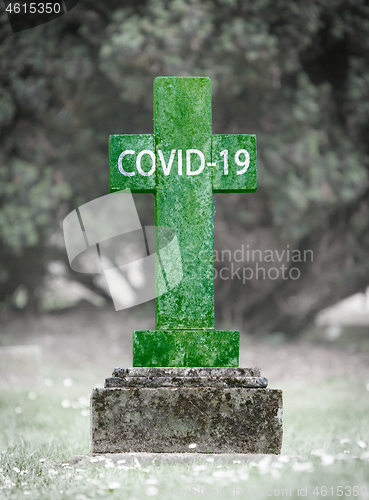 Image of Casualty of the COVID-19, green grave