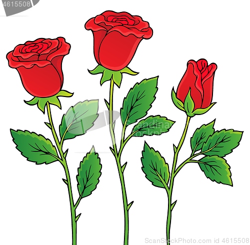 Image of Rose flower theme image 1