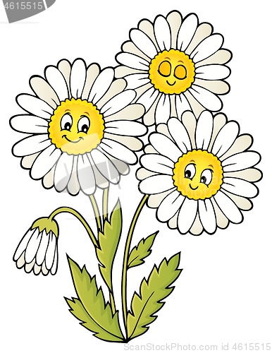 Image of Daisy flower theme image 1