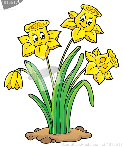 Image of Narcissus flower theme image 1