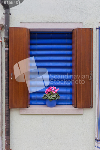 Image of Burano Flower Pot